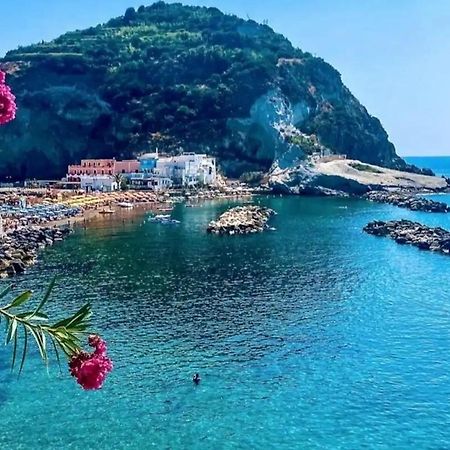 Mare Nostrum - Beachfront House - Sant'Angelo Ischia ภายนอก รูปภาพ