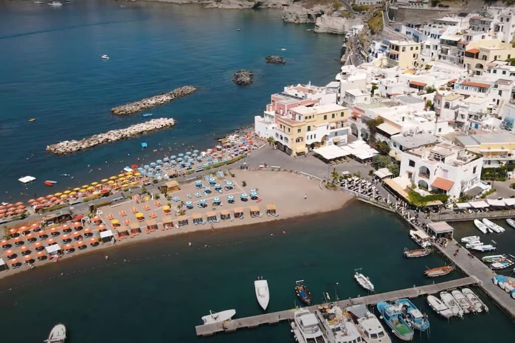 Mare Nostrum - Beachfront House - Sant'Angelo Ischia ภายนอก รูปภาพ